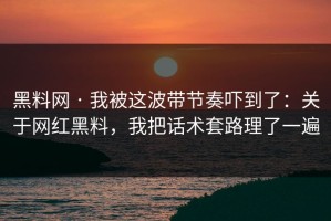 黑料网 · 我被这波带节奏吓到了：关于网红黑料，我把话术套路理了一遍