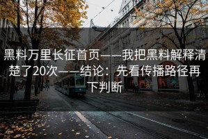 黑料万里长征首页——我把黑料解释清楚了20次——结论：先看传播路径再下判断
