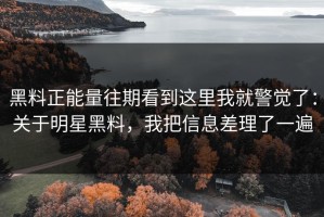 黑料正能量往期看到这里我就警觉了：关于明星黑料，我把信息差理了一遍