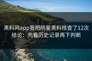 黑料网app我把明星黑料核查了12次结论：先看历史记录再下判断