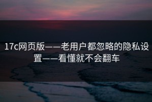 17c网页版——老用户都忽略的隐私设置——看懂就不会翻车