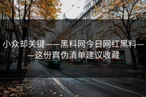小众却关键——黑料网今日网红黑料——这份真伪清单建议收藏