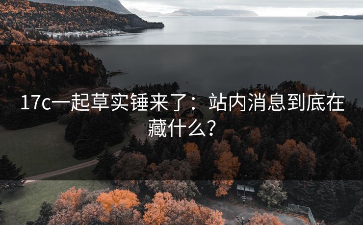 17c一起草实锤来了:站内消息到底在藏什么? 17c一起草实锤来了:站内消息到底在藏什么?