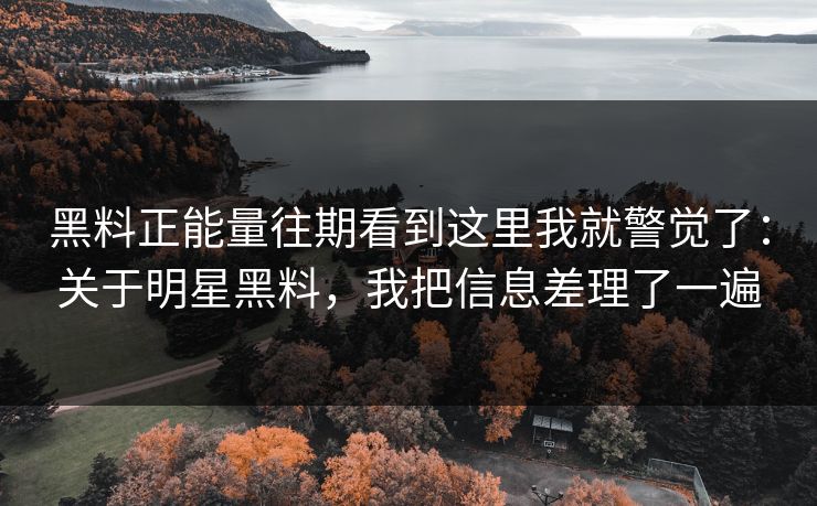 黑料正能量往期看到这里我就警觉了：关于明星黑料，我把信息差理了一遍