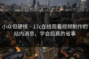 小众但硬核 · 17c在线观看视频制作的站内消息，学会后真的省事