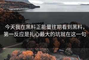 今天我在黑料正能量往期看到黑料，第一反应是扎心最大的坑就在这一句