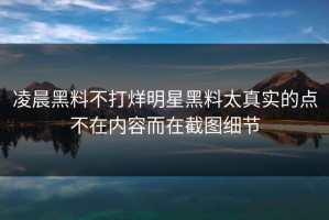 凌晨黑料不打烊明星黑料太真实的点不在内容而在截图细节