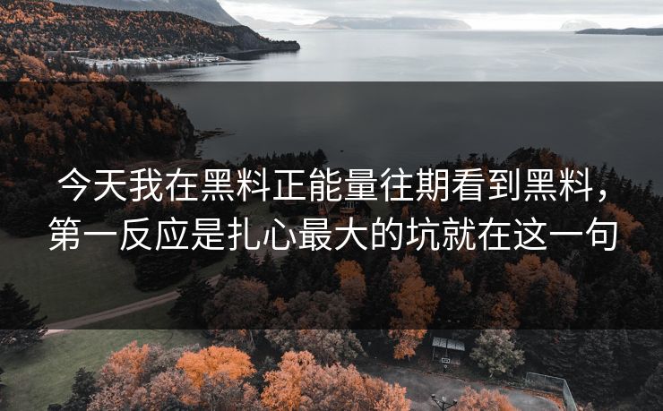 今天我在黑料正能量往期看到黑料,第一反应是扎心最大的坑就在这一句 今天我在黑料正能量往期看到黑料,第一反应是扎心最大的坑就在这一句